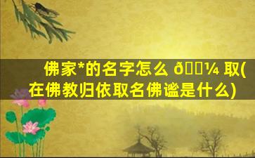 佛家*
的名字怎么 🌼 取(在佛教归依取名佛谧是什么)
